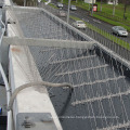 Plastic Based Polycarbonate Repellent Bird Spike/ Stainless Spikes Anti Bird On Rooftops